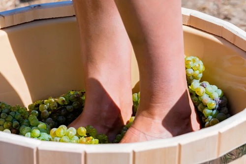 Tour Vindima Colonial em Gramado